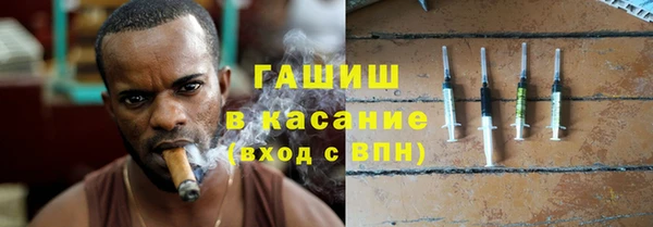 гидра Арсеньев