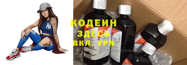 гидра Арсеньев