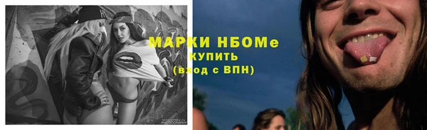 гидра Арсеньев